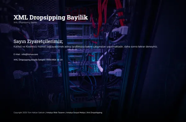 lisinya.tr masaüstü ekran görüntüsü