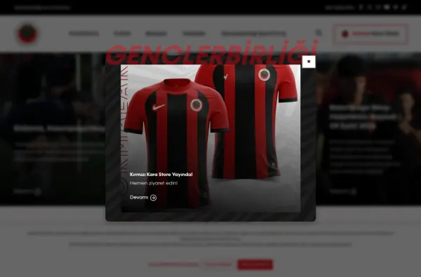genclerbirligi.org.tr masaüstü ekran görüntüsü