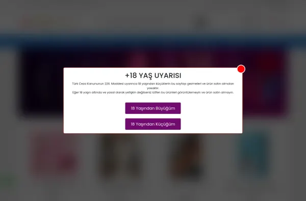 sexshopistanbul.com.tr ekran görüntüsü