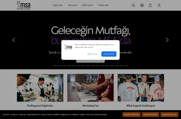 msa.com.tr masaüstü ekran görüntüsü