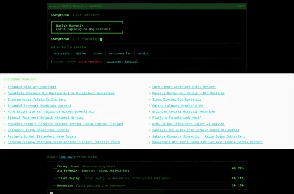 baslikmanyetik.com.tr ekran görüntüsü