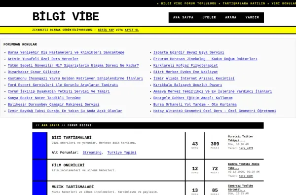 bilgivibe.com.tr ekran görüntüsü
