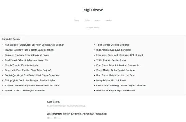 bilgidizayn.com.tr ekran görüntüsü