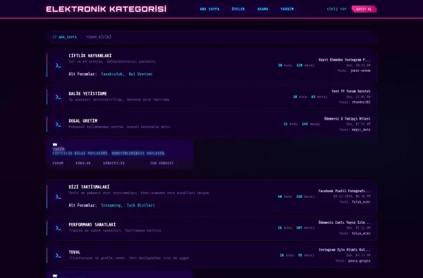 elektronikkategorisi.com.tr ekran görüntüsü