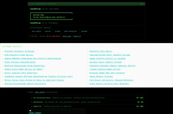 sozlukoda.com.tr masaüstü ekran görüntüsü