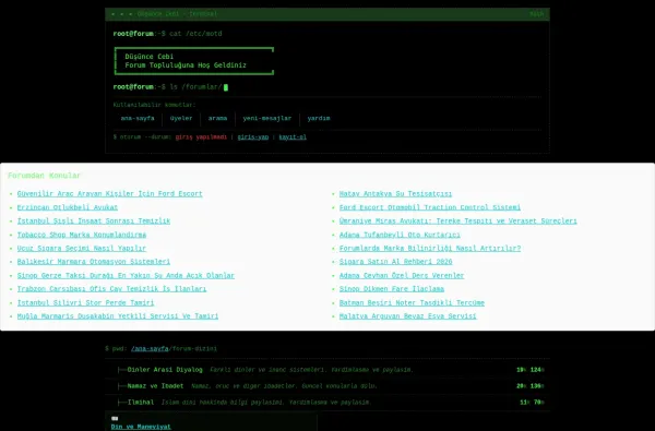 dusuncecebi.com.tr ekran görüntüsü