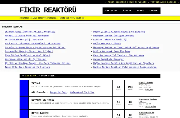 fikirreaktoru.com.tr masaüstü ekran görüntüsü