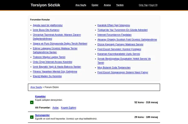 torsiyonsozluk.com.tr ekran görüntüsü