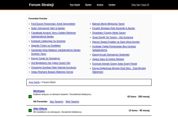 forumstrateji.com.tr ekran görüntüsü