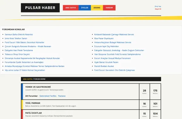 pulsarhaber.com.tr ekran görüntüsü