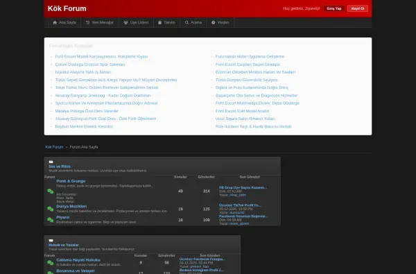 kokforum.com.tr ekran görüntüsü