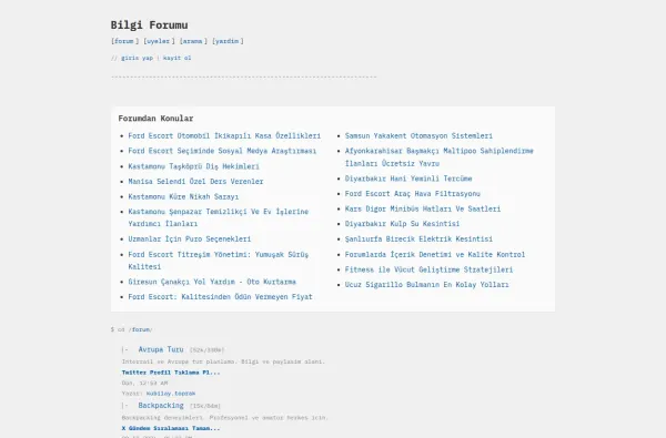 bilgiforumu.com.tr ekran görüntüsü