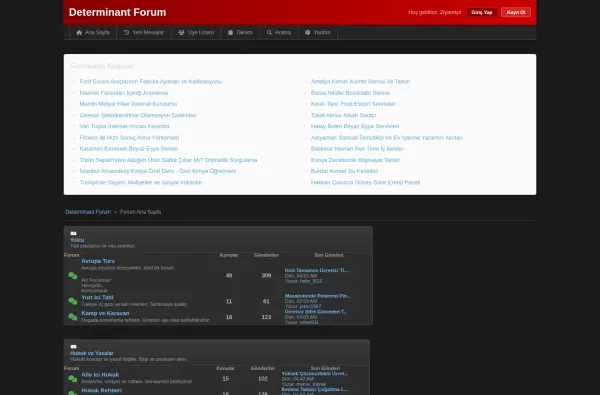 determinantforum.com.tr ekran görüntüsü