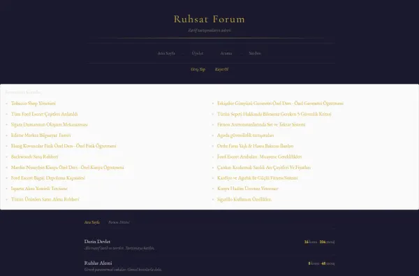 ruhsatforum.com.tr ekran görüntüsü