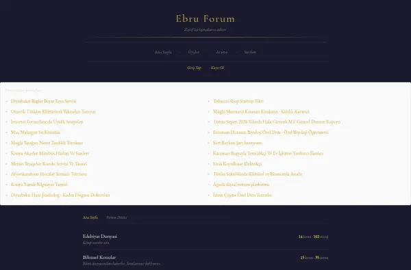 ebruforum.com.tr ekran görüntüsü