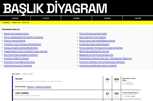 baslikdiyagram.com.tr ekran görüntüsü