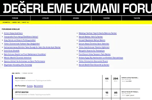 degerlemeuzmaniforum.com.tr ekran görüntüsü