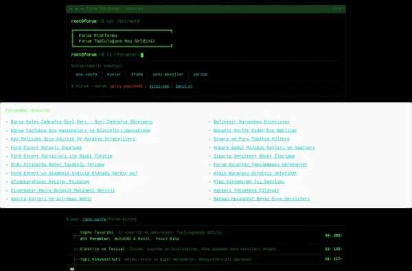 forumplatformu.com.tr ekran görüntüsü