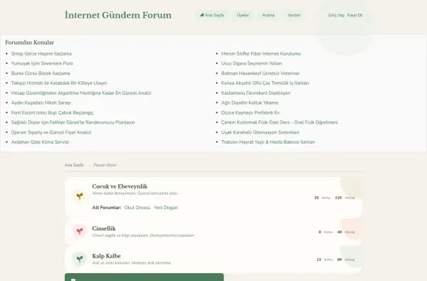 internetgundemforum.com.tr masaüstü ekran görüntüsü