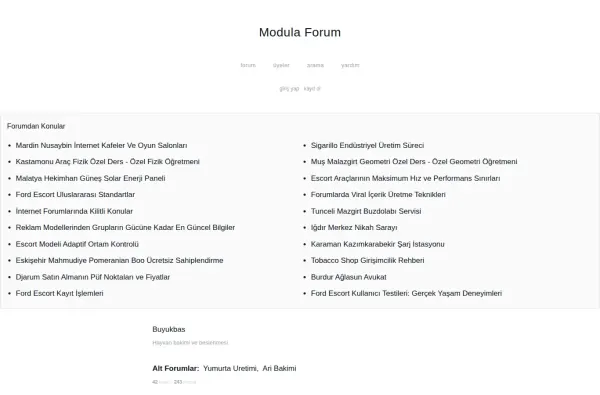 modulaforum.com.tr masaüstü ekran görüntüsü