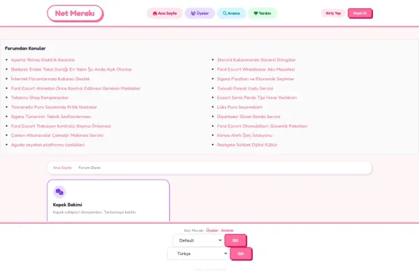 notmeraki.com.tr ekran görüntüsü
