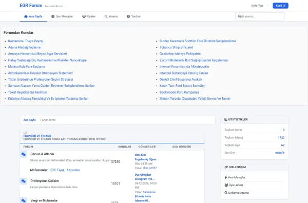egrforum.com.tr ekran görüntüsü