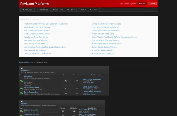 paylasimplatformu.com.tr ekran görüntüsü