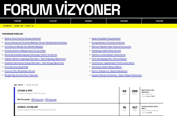 forumvizyoner.com.tr ekran görüntüsü