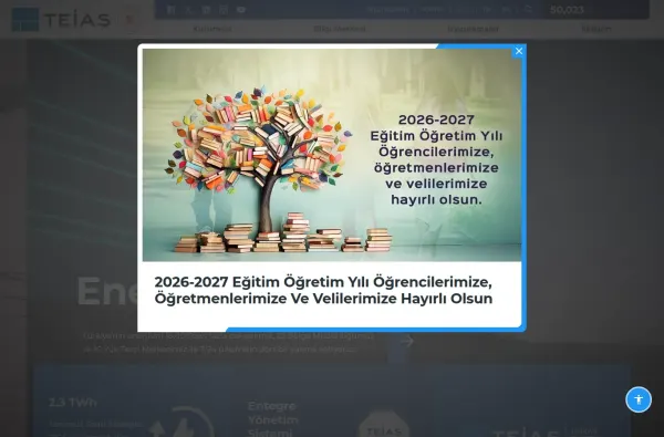 teias.gov.tr masaüstü ekran görüntüsü