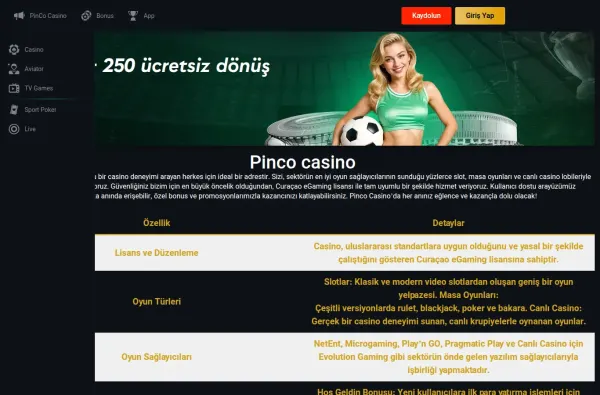 pinco.org.tr masaüstü ekran görüntüsü