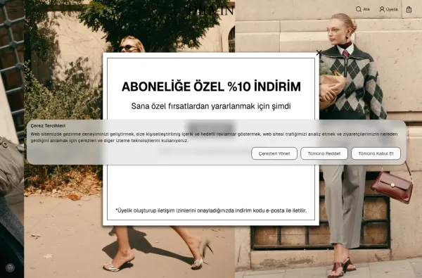 dilvin.com.tr masaüstü ekran görüntüsü
